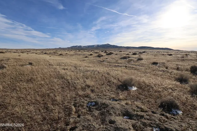 an aerial view of houses covered in trees