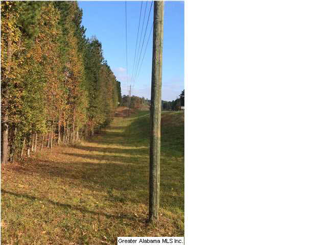 0 Highway 77, Unit 24 AC Ohatchee, AL 36271 - Photo 4 of 13