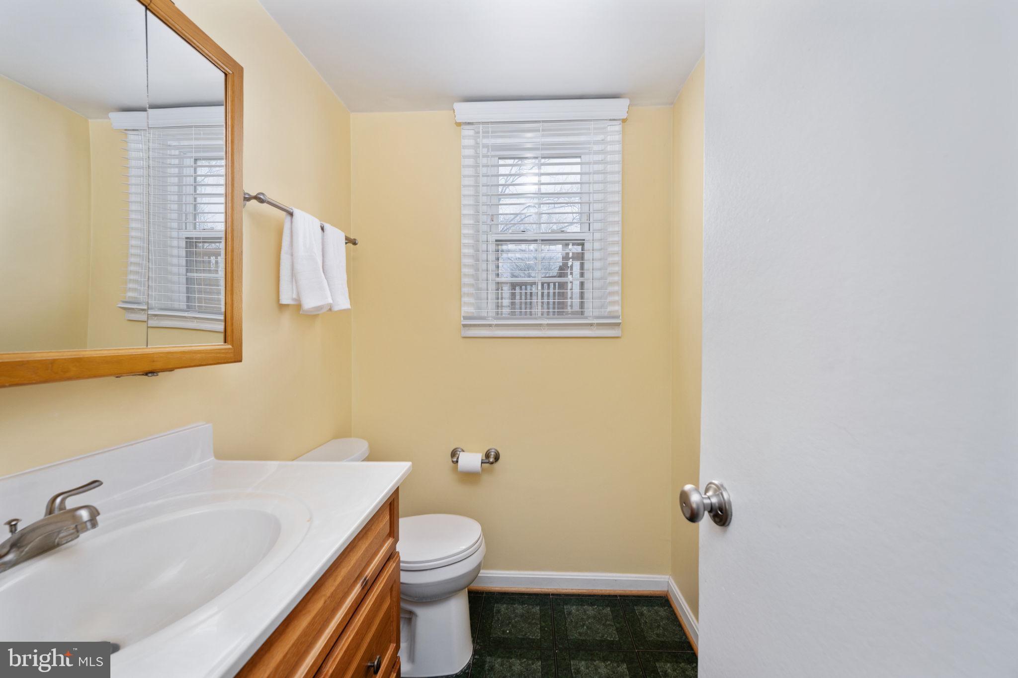 6765 Settlers Ridge Road Warrenton, VA 20187 - Photo 41 of 66 a bathroom with a sink and a toilet