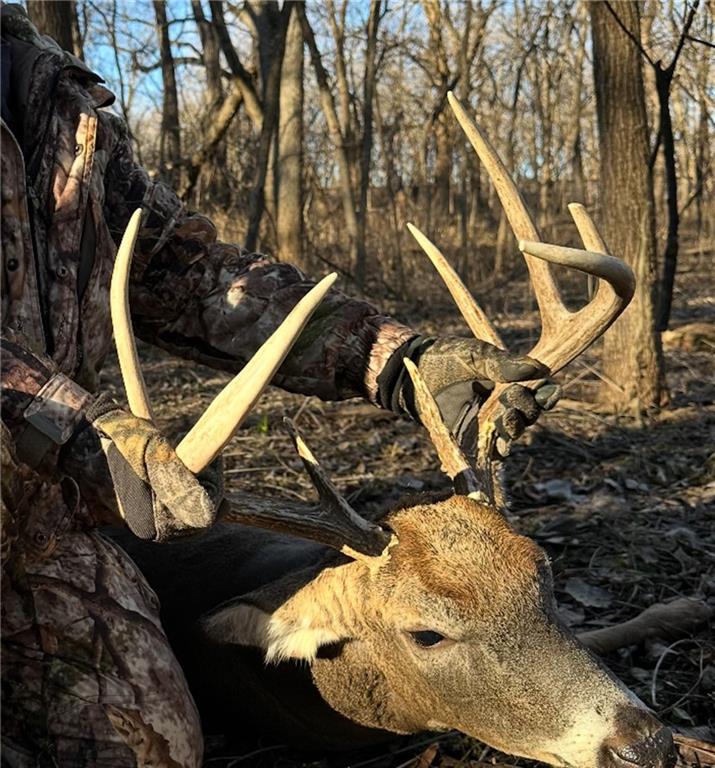 0 Kingfisher Road Hiawatha, KS 66434 - Photo 17 of 19