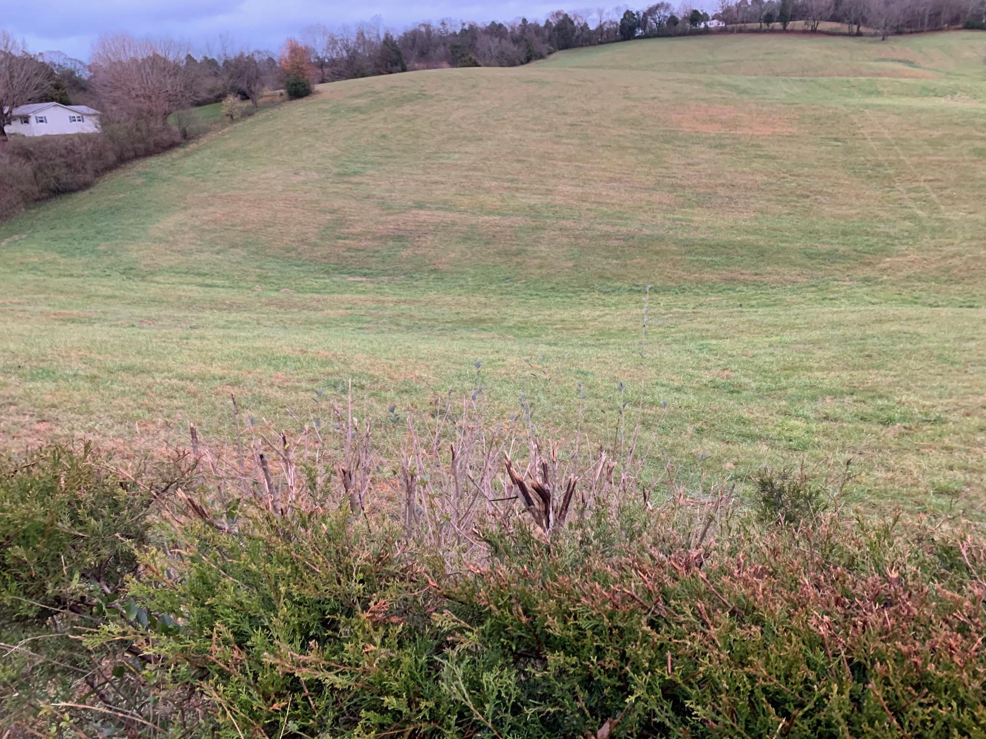 1 Vonore Road Loudon, TN 37774 - Photo 3 of 5 IMG_2825