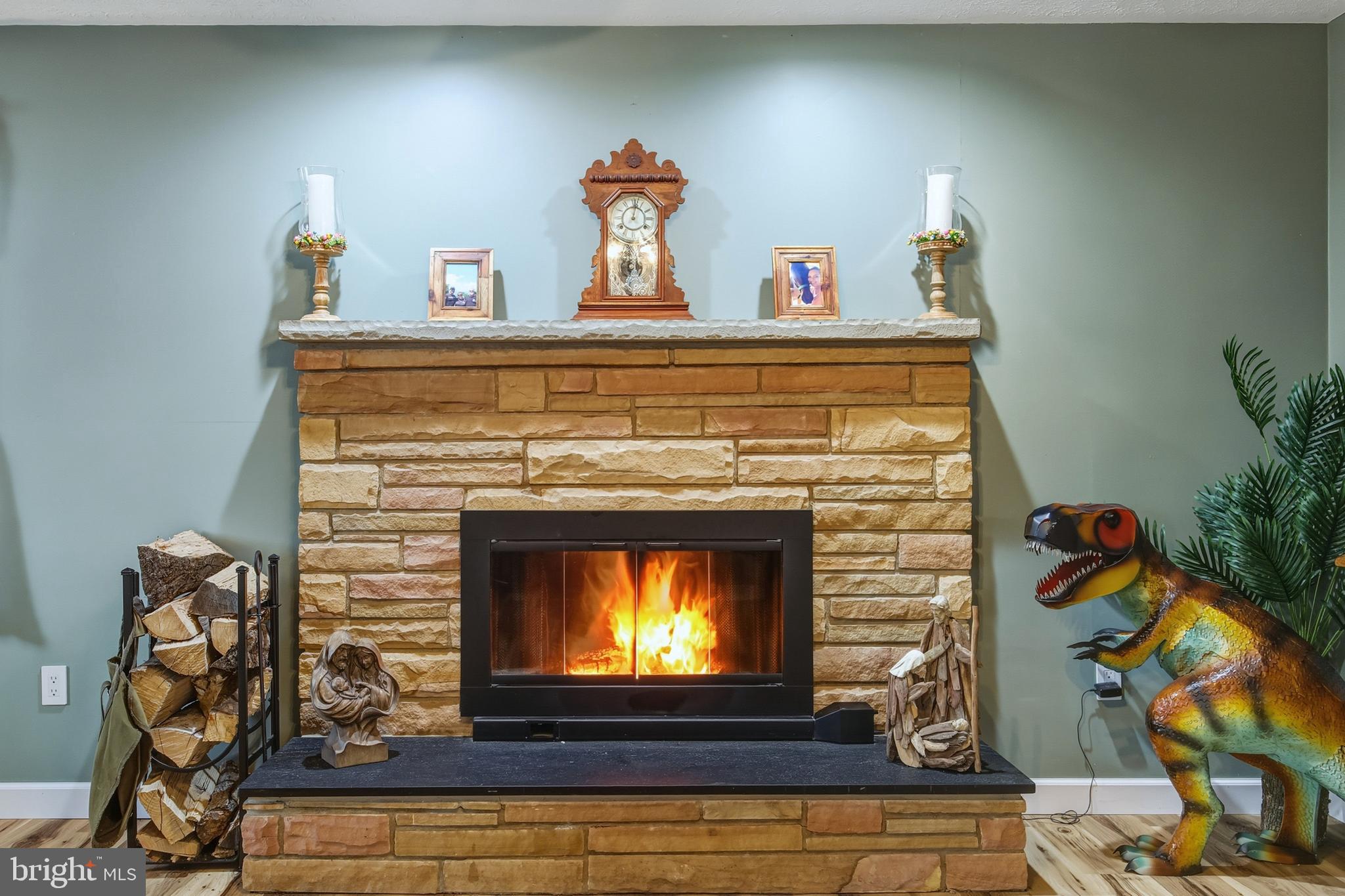 5911 Smith Creek Road New Market, VA 22844 - Photo 14 of 78 a fireplace with potted plants on top of it