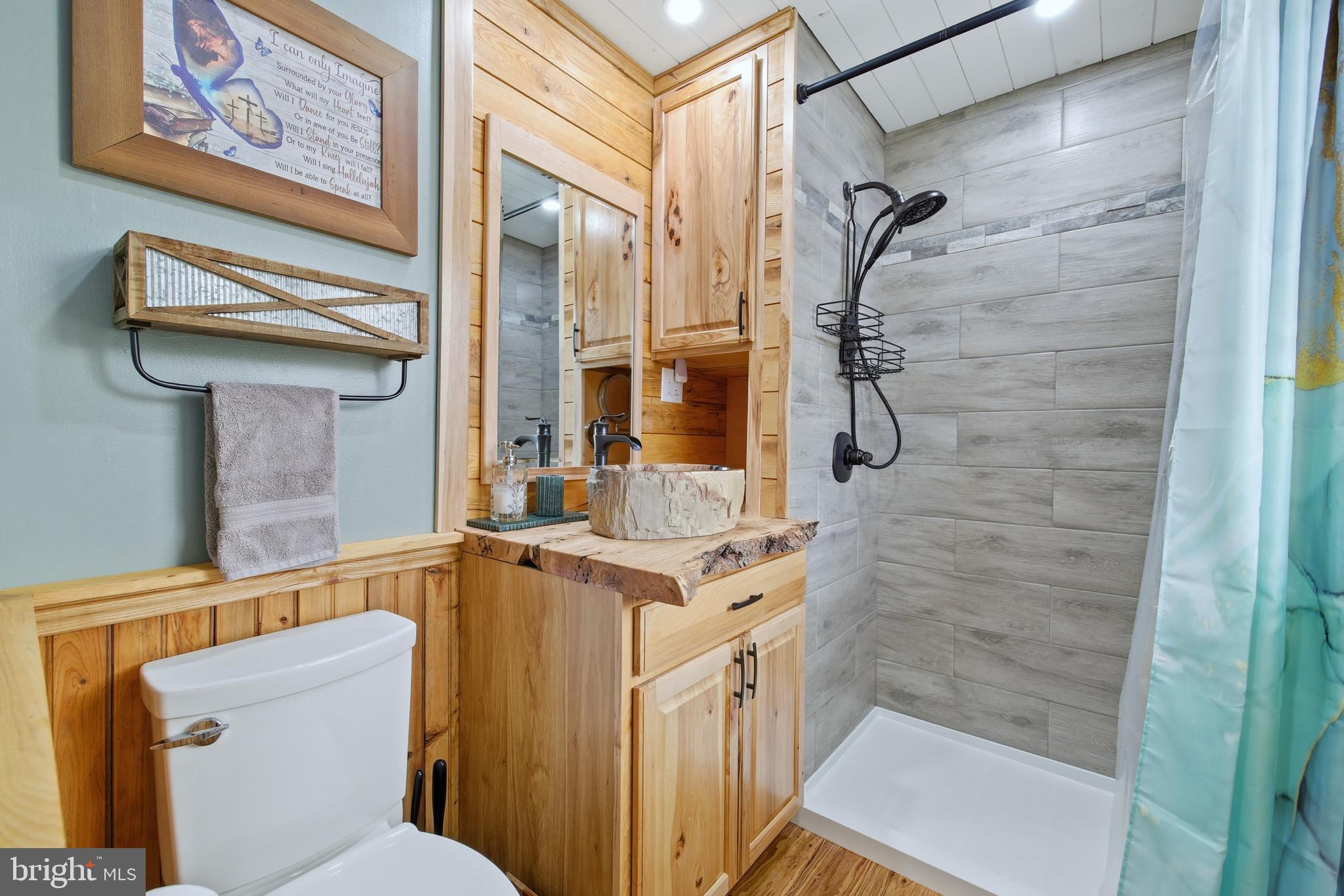 5911 Smith Creek Road New Market, VA 22844 - Photo 39 of 78 a bathroom with a granite countertop shower a toilet and a sink