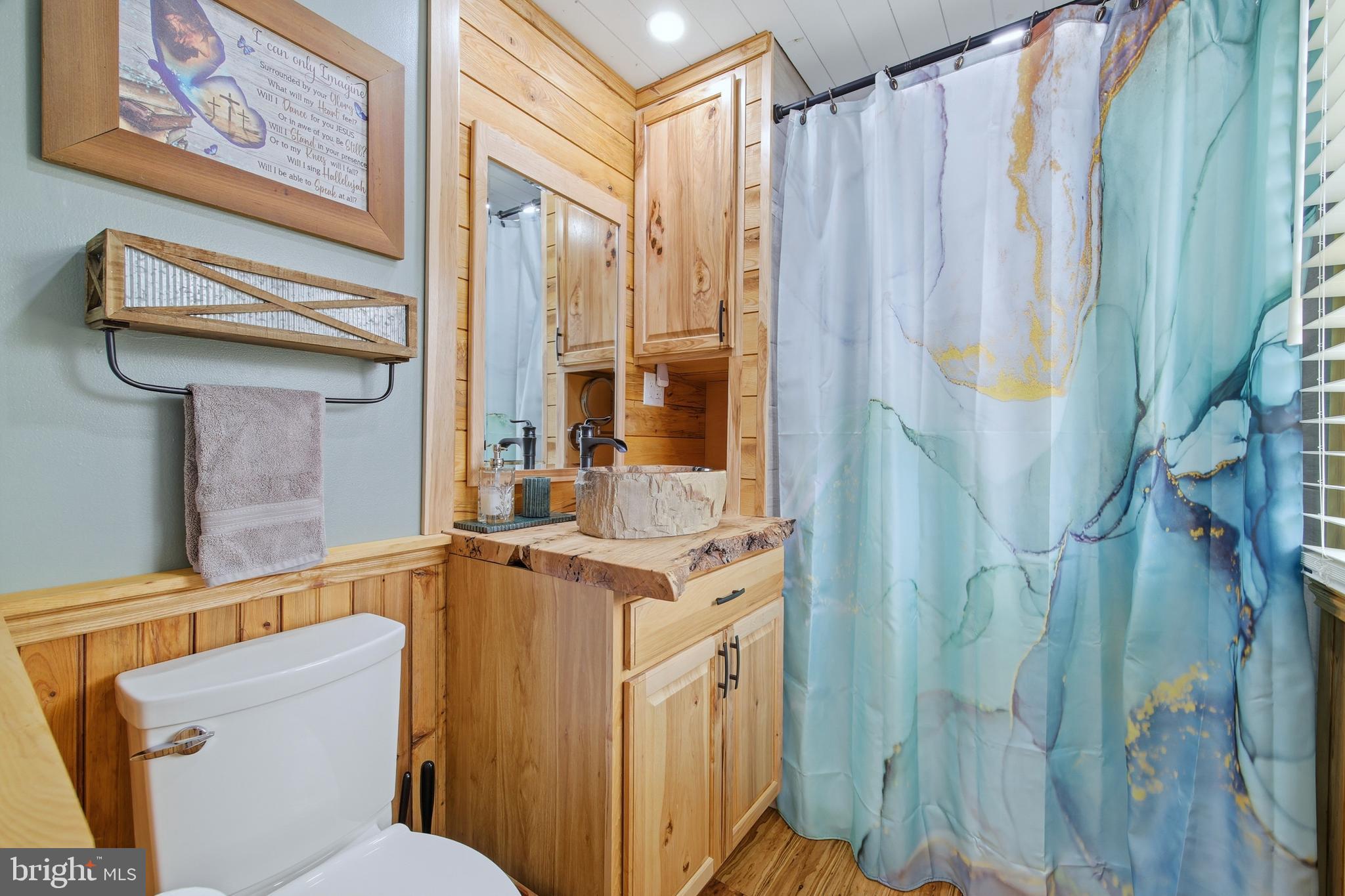 5911 Smith Creek Road New Market, VA 22844 - Photo 40 of 78 a bathroom with a sink a toilet and shower