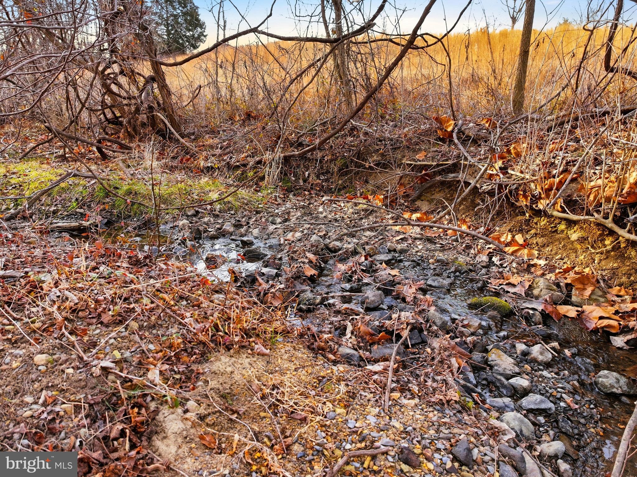5911 Smith Creek Road New Market, VA 22844 - Photo 68 of 78