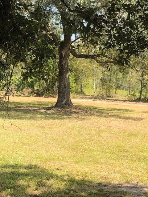 0 60374 NORTH Tranquility Road Lacombe, LA 70445 - Photo 3 of 6 Gallery Image 3
