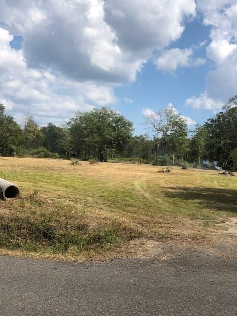 0 60374 NORTH Tranquility Road Lacombe, LA 70445 - Photo 5 of 6 Gallery Image 5
