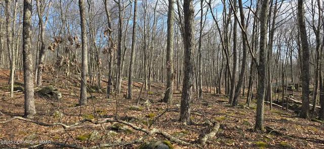 $28,000 | Cowaw Road, Milford, PA 18337