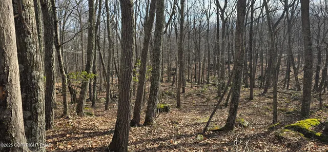 $28,000 | Cowaw Road, Milford, PA 18337