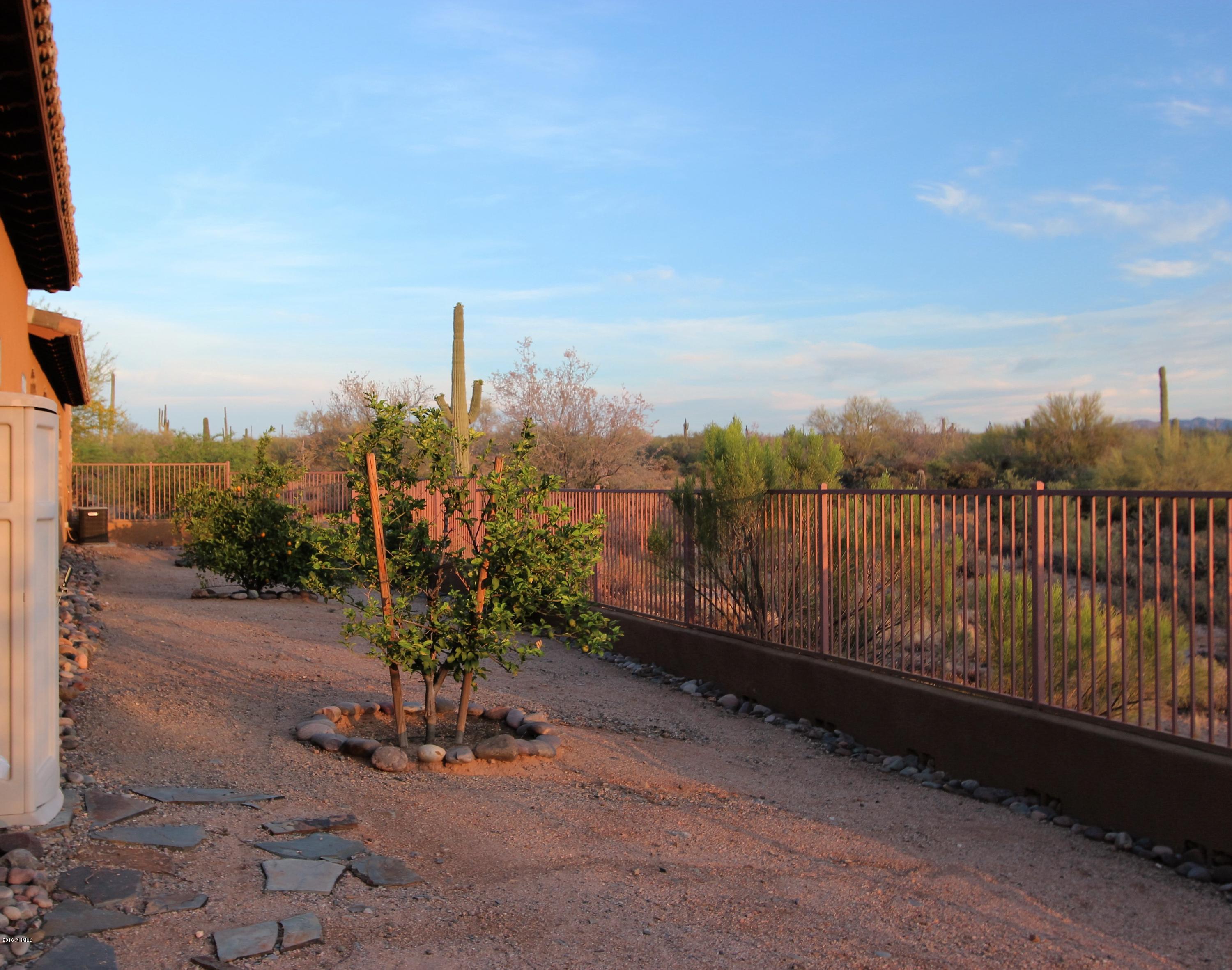 30705 North 174th Street Rio Verde, AZ 85263 - Photo 48 of 62 IMG_6696