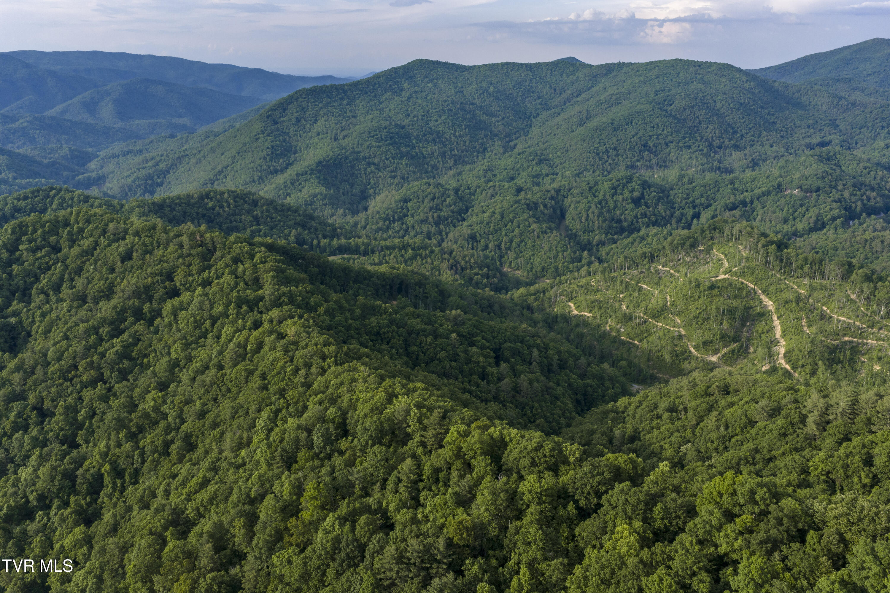 128 Lum McIntosh Road Erwin, TN 37650 - Photo 103 of 106 LumMcinTosh-Aerials-25
