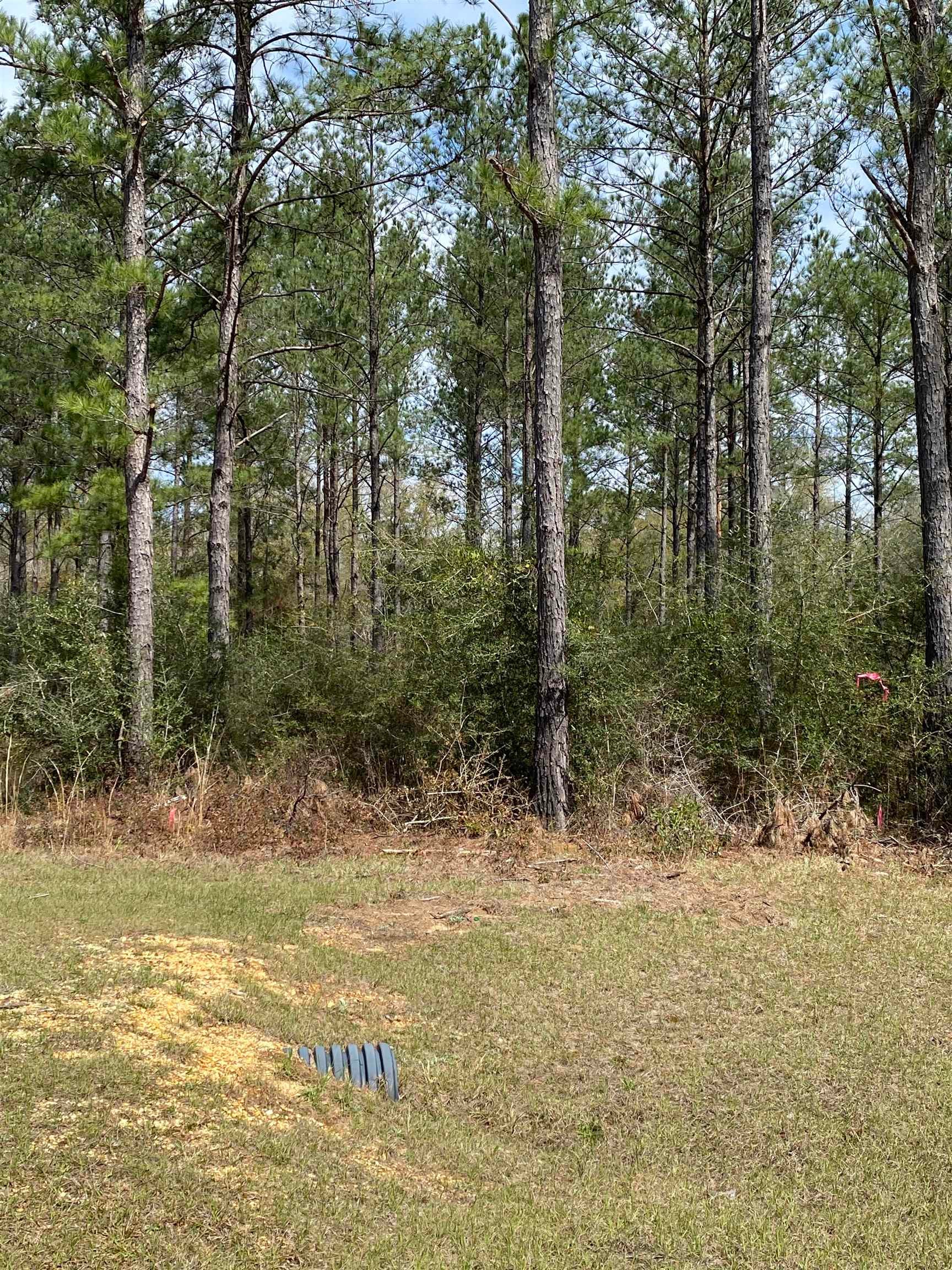 Lot 72 Harbor Road Andalusia, AL 36421 - Photo 1 of 5 Gallery Image 1