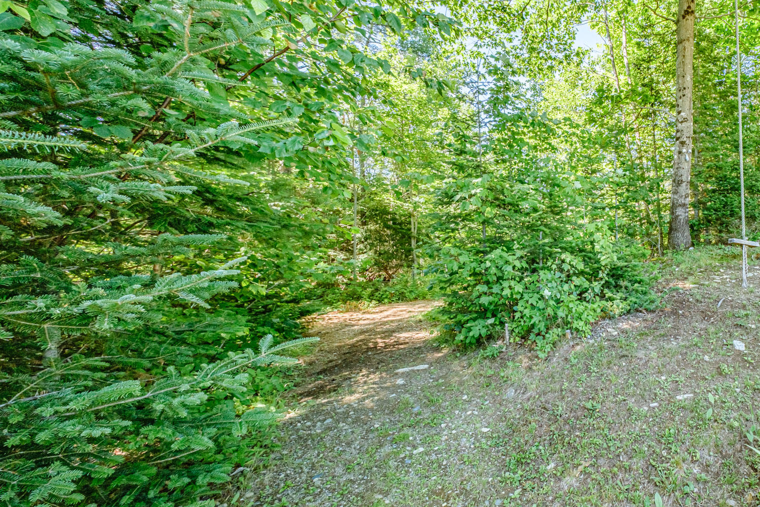 316 Bill Luce Road Washington, ME 04574 - Photo 52 of 62 20200709gp-62062