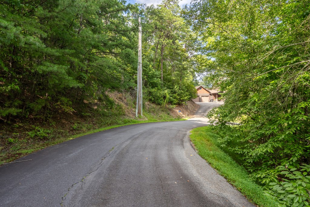 0 Choctaw Ridge Road Blue Ridge, GA 30513 - Photo 4 of 17 Gallery Image 4