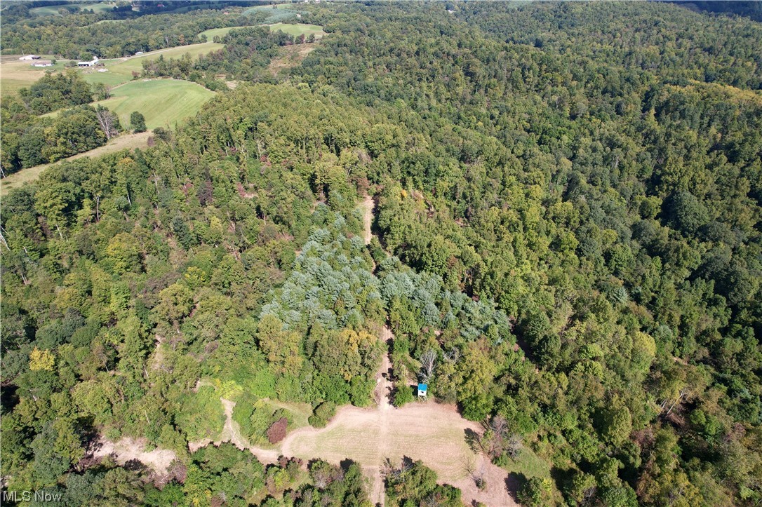 Fogle Road Caldwell, OH 43724 - Photo 11 of 18 Birds eye view of property