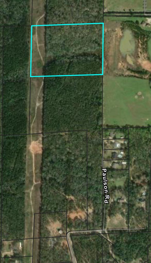 0 Holmes Road Newton, AL 36352 - Photo 8 of 8