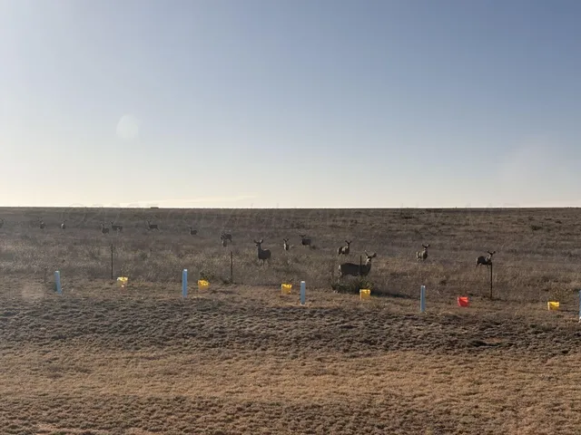 $699,000 | 5355 Farm To Market Road 809, Wildorado, TX 79098