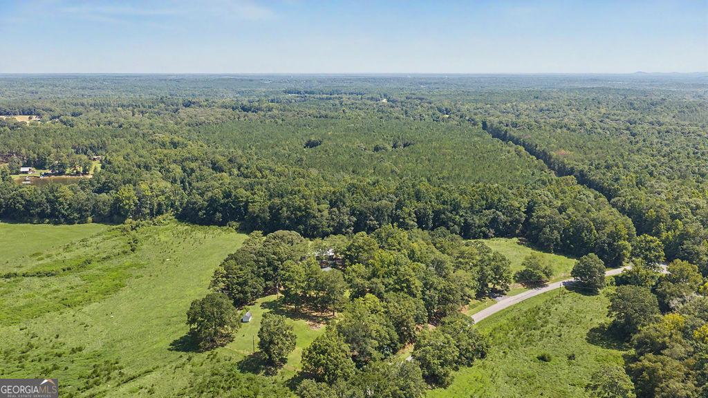 3545 Temple Dukes Road Woodbury, GA 30293 - Photo 53 of 57 Gallery Image 53