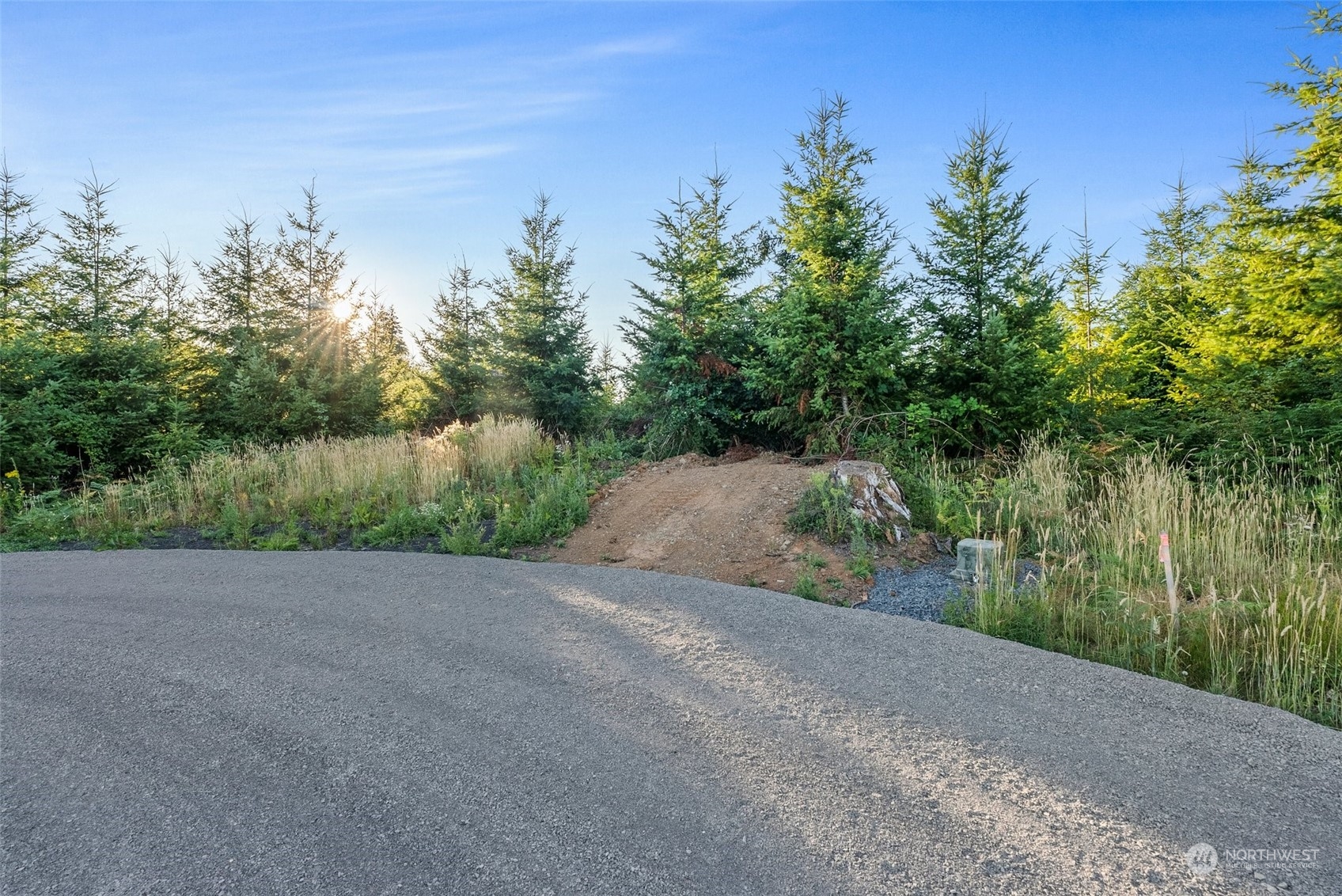 120 Brim Ridge Lane Winlock, WA 98596 - Photo 22 of 32 a view of a plants with trees in the background