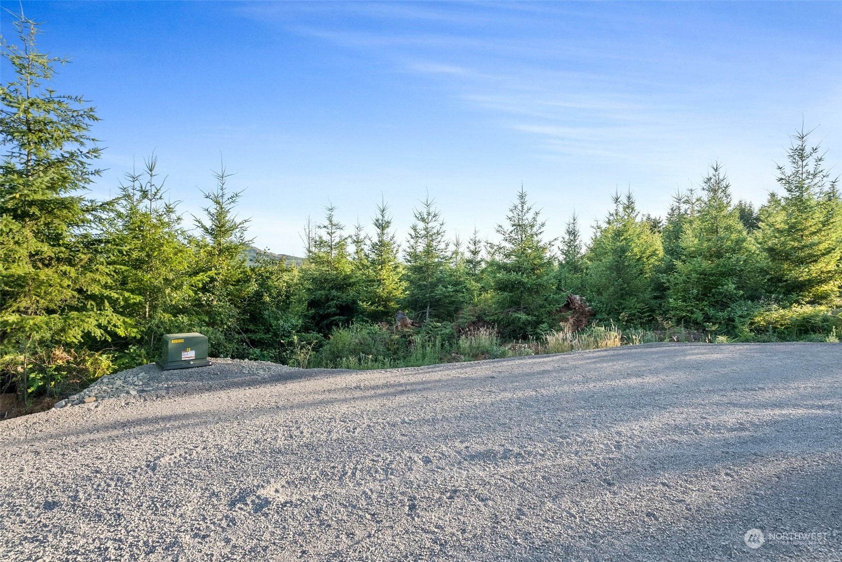 120 Brim Ridge Lane Winlock, WA 98596 - Photo 23 of 32 a view of a dirt field with trees in the background
