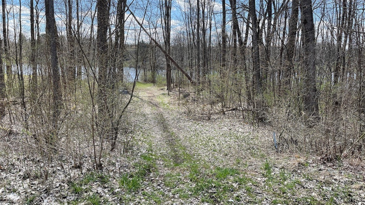 97 Oswego River Road Schroeppel, NY 13135 - Photo 12 of 25