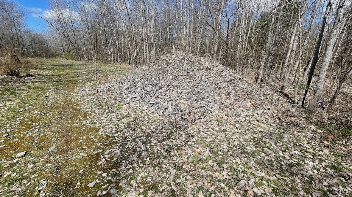 97 Oswego River Road Schroeppel, NY 13135 - Photo 16 of 25