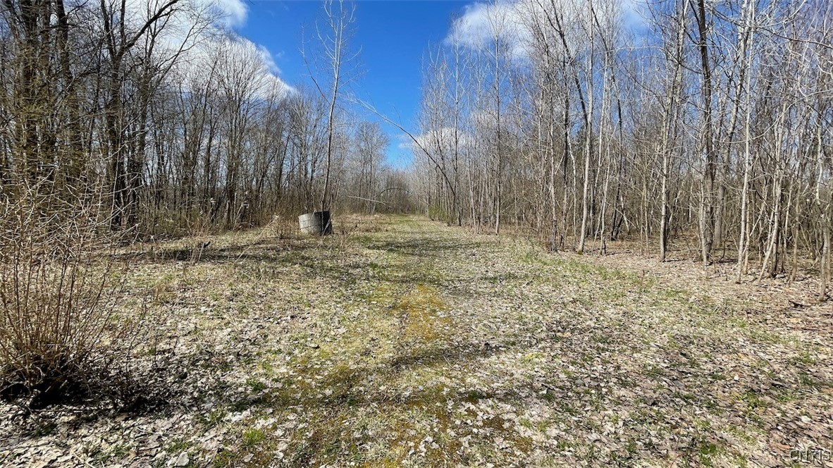 97 Oswego River Road Schroeppel, NY 13135 - Photo 17 of 25