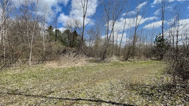 $1,700,000 | 97 Oswego River Road, Schroeppel, NY 13135