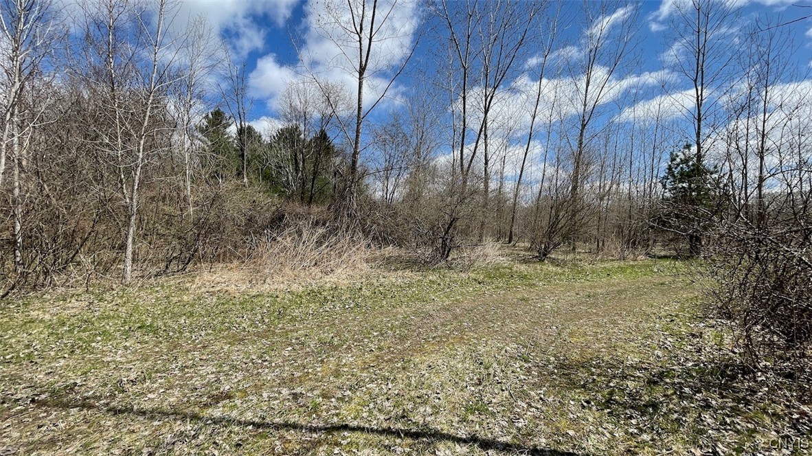 97 Oswego River Road Schroeppel, NY 13135 - Photo 5 of 25