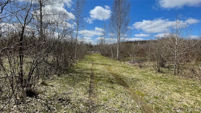 $1,700,000 | 97 Oswego River Road, Schroeppel, NY 13135