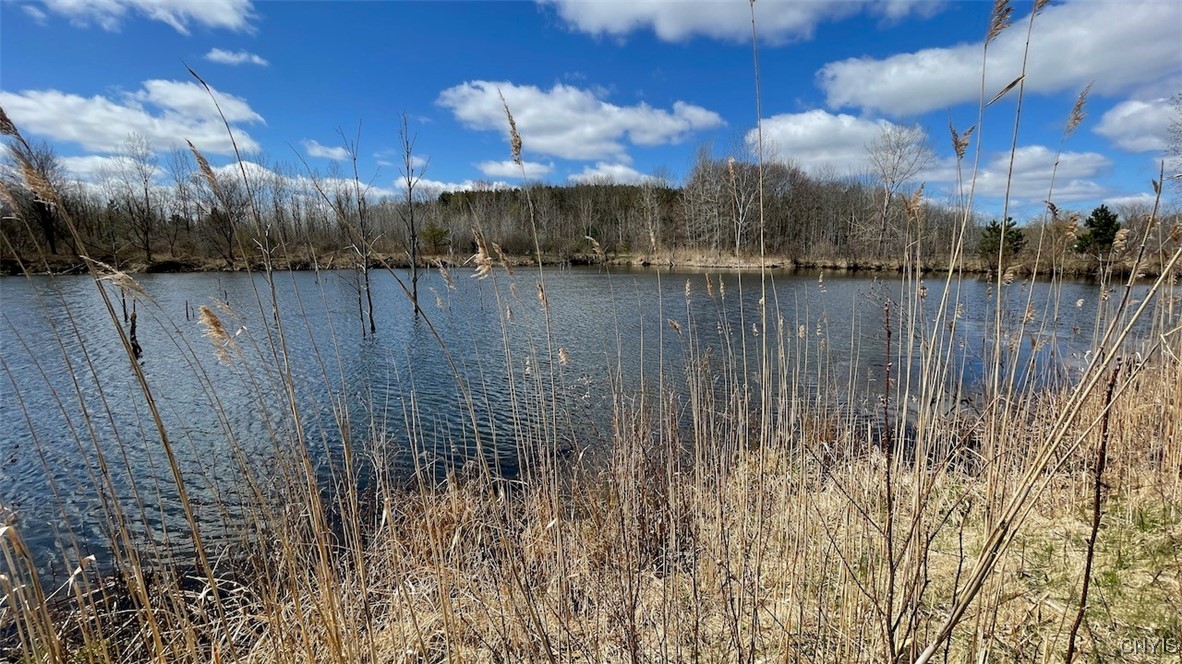 97 Oswego River Road Schroeppel, NY 13135 - Photo 7 of 25