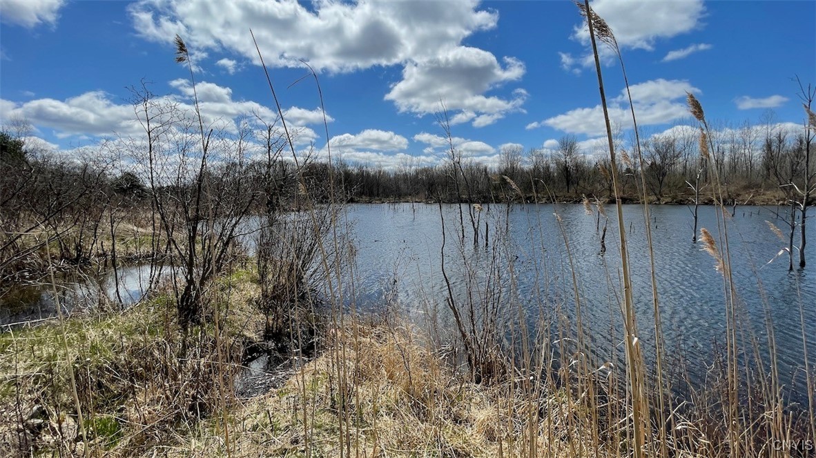 97 Oswego River Road Schroeppel, NY 13135 - Photo 8 of 25