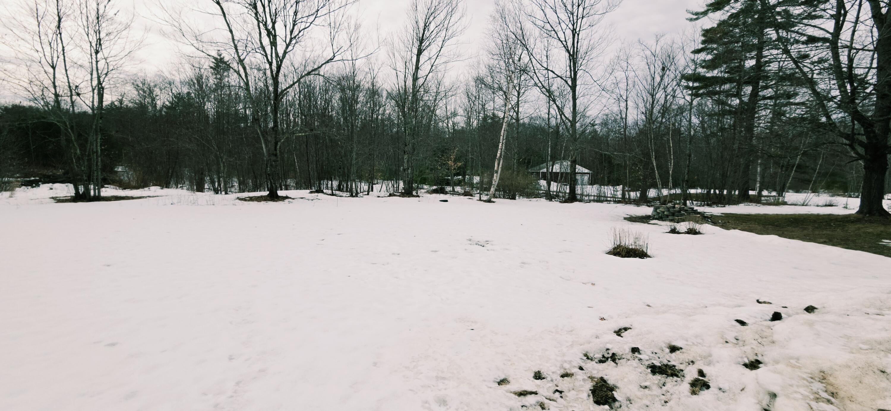 103 Bog Road Leeds, ME 04263 - Photo 46 of 61 20260315_124340