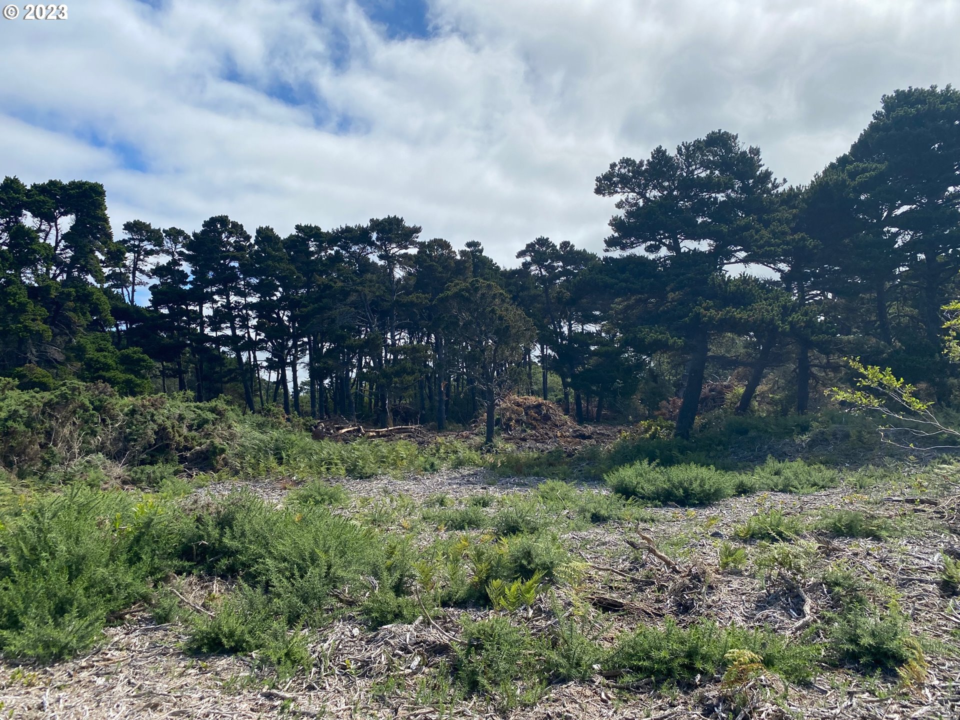 0 20th Street Southwest Bandon, OR 97411 - Photo 2 of 15