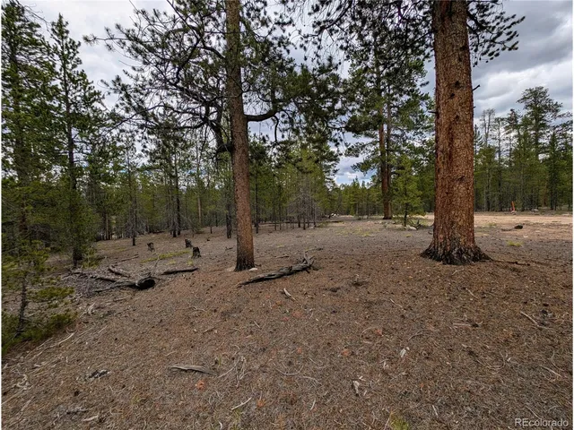 $139,900 | 437 Juniper Drive, Twin Lakes, CO 81251