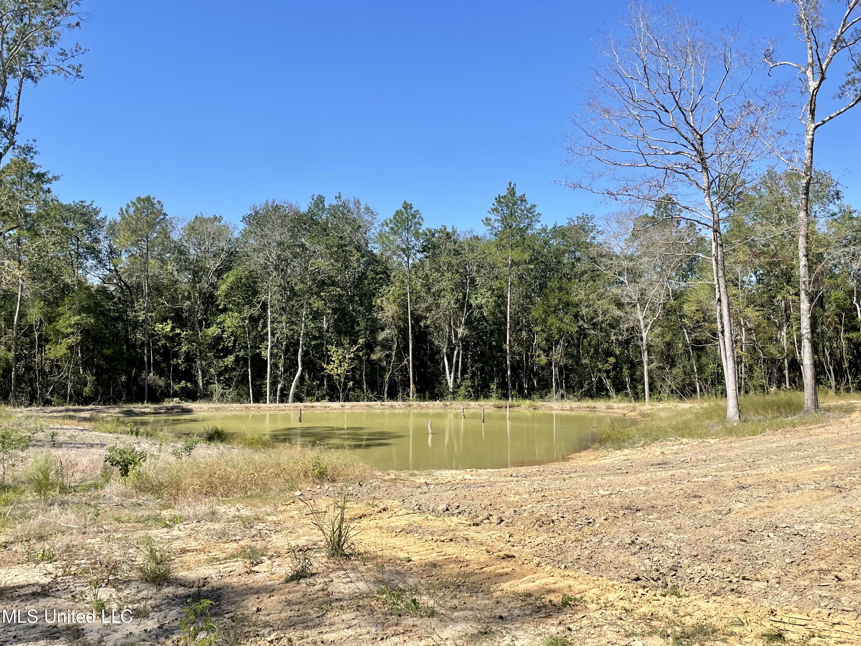 North Creek Road East Lucedale, MS 39452 - Photo 2 of 6 875FFE73-6065-4BEB-A2B2-19F35886010E