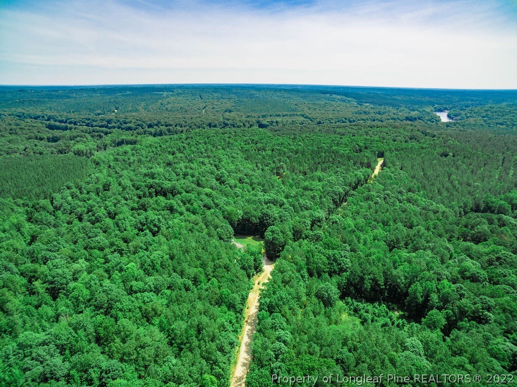 220 River Ridge Drive Broadway, NC 27505 - Photo 3 of 50 Gallery Image 3