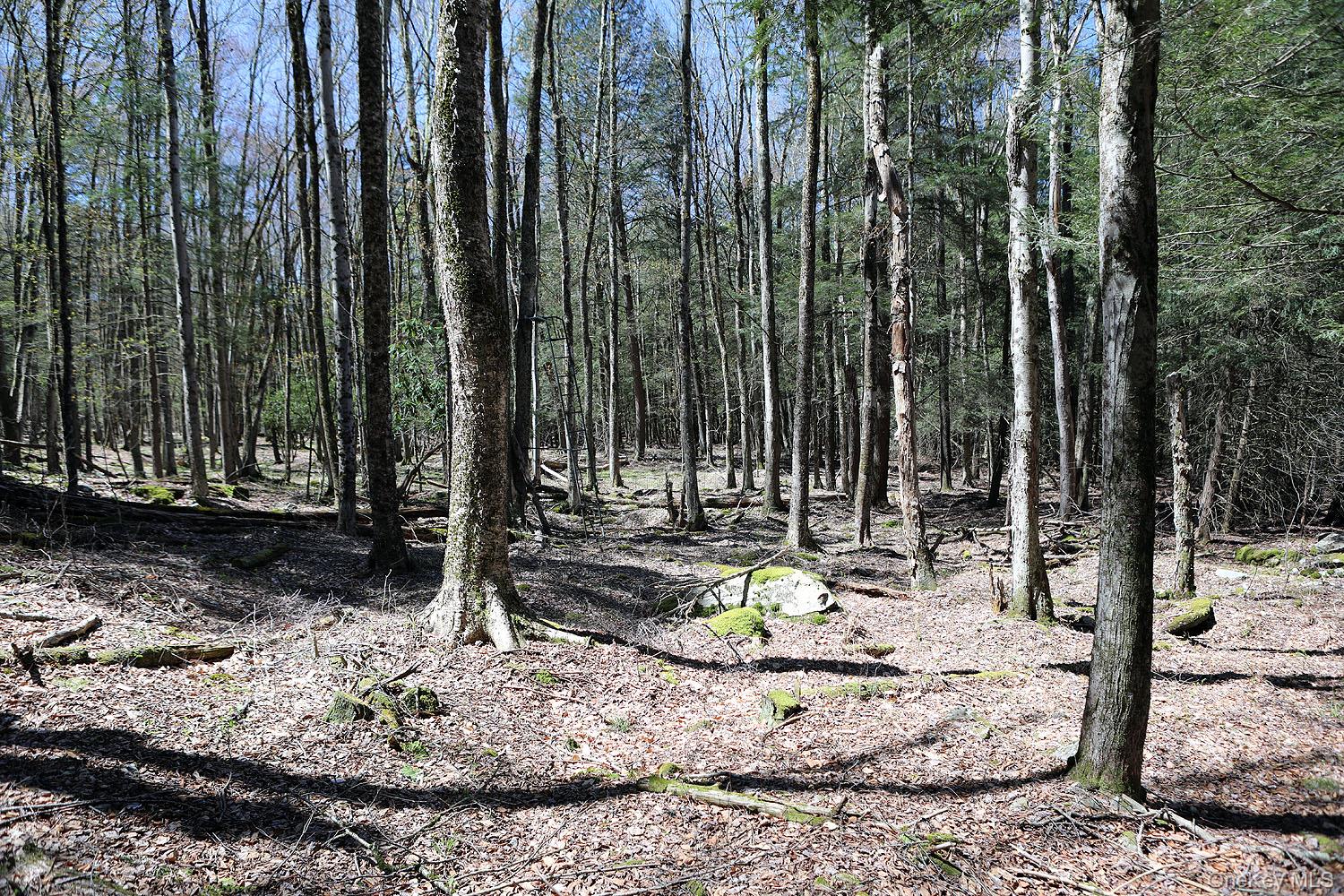 Hubert Road Jeffersonville, NY 12748 - Photo 11 of 19 a view of a backyard with a fountain