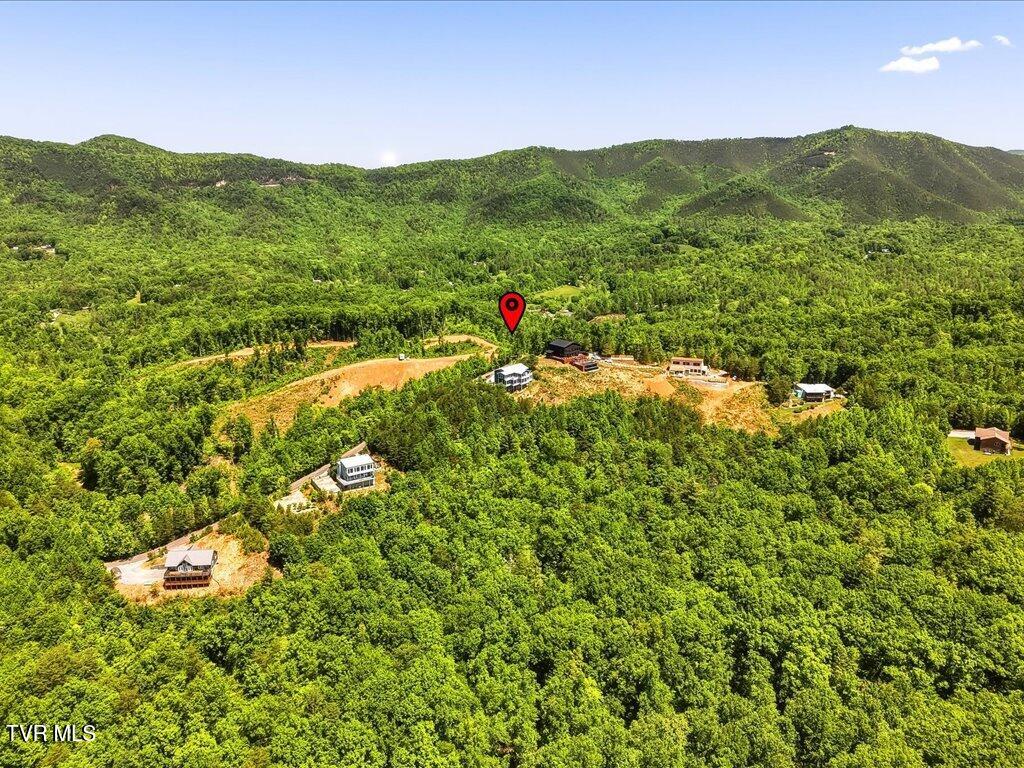 270 Sonshine Ridge Road Cosby, TN 37722 - Photo 75 of 75 270 Sonshine Ridge Road - 76