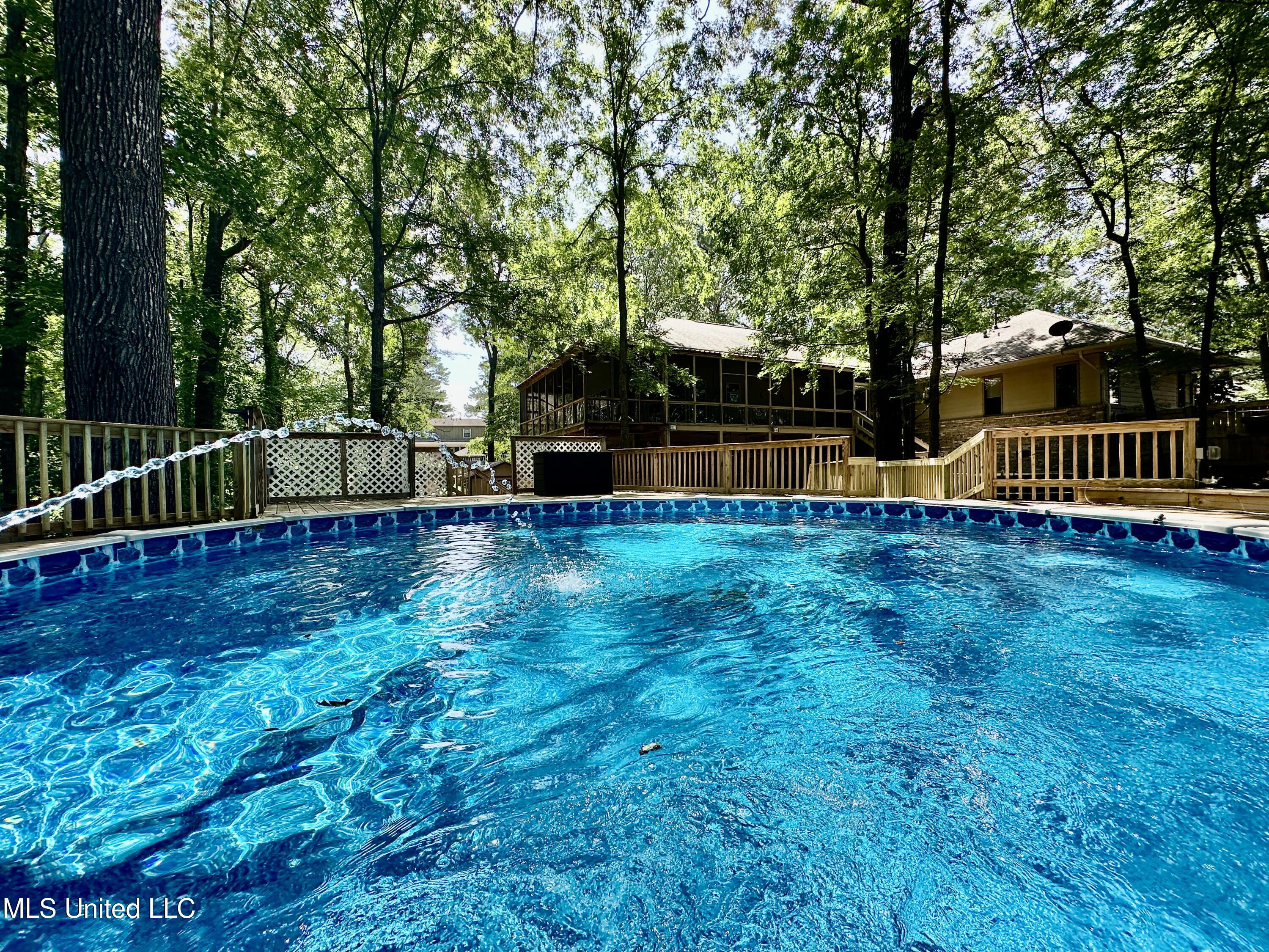 211 Monterey Drive Clinton, MS 39056 - Photo 53 of 62 pool2