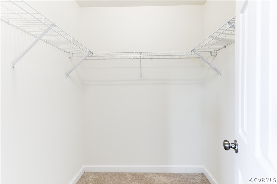 13346 Diamond Ridge Drive Midlothian, VA 23112 - Photo 28 of 42 a view of walk in closet with empty racks