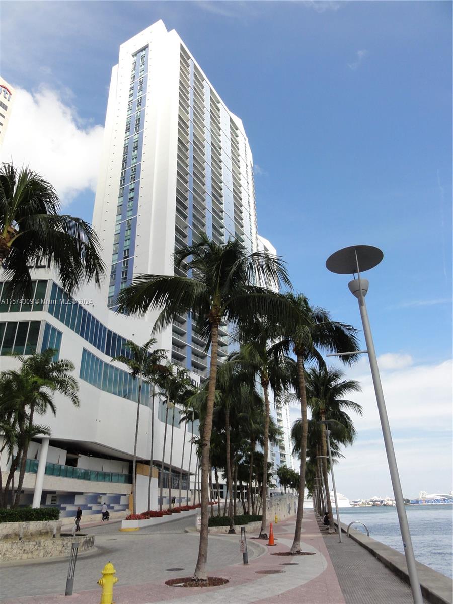 a view of a tall building with a palm tree