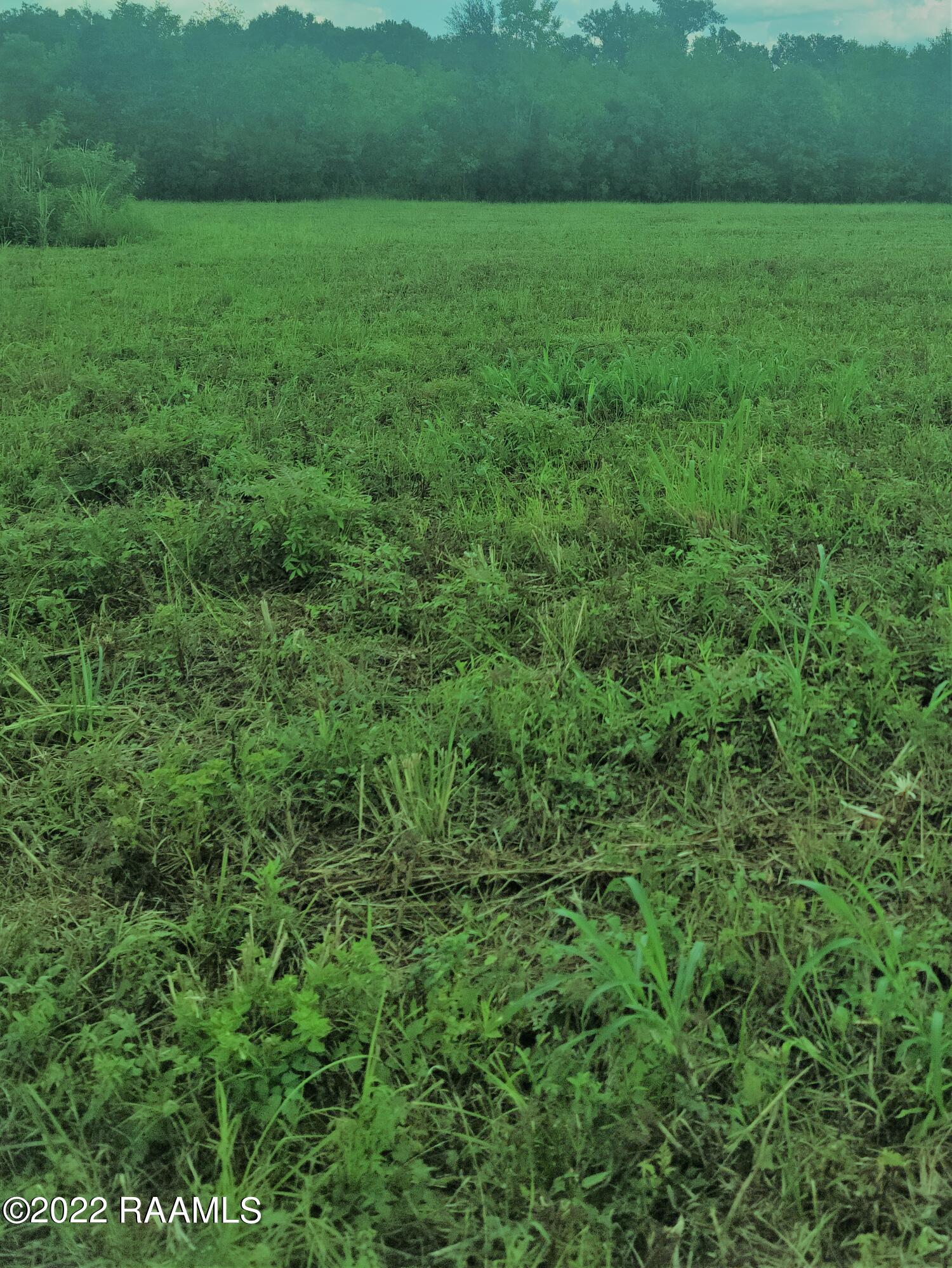 Tbd Tbd La-10 Batchelor, LA 70715 - Photo 2 of 3 hwy 10-5