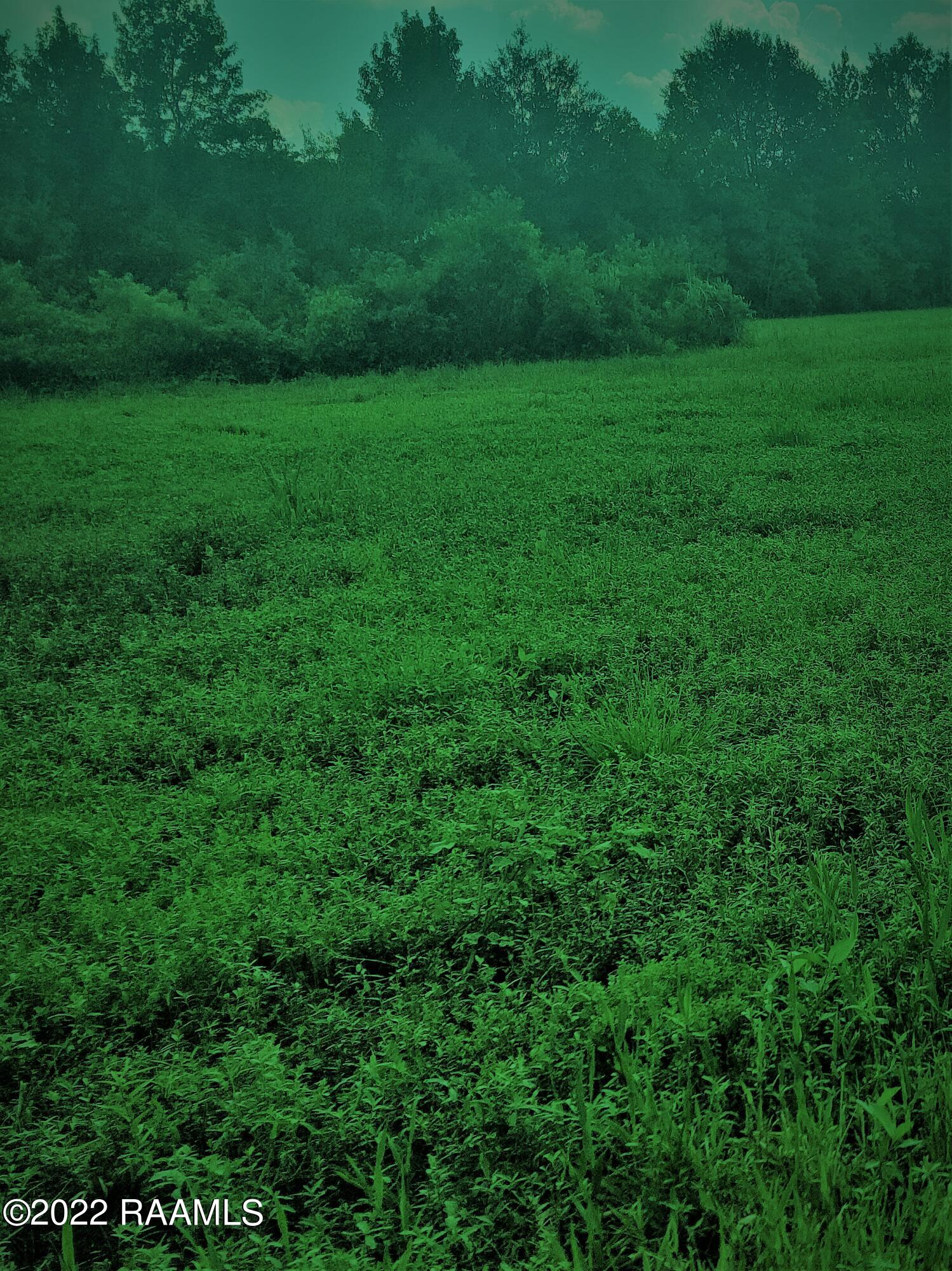 Tbd Tbd La-10 Batchelor, LA 70715 - Photo 3 of 3 hwy 10 4