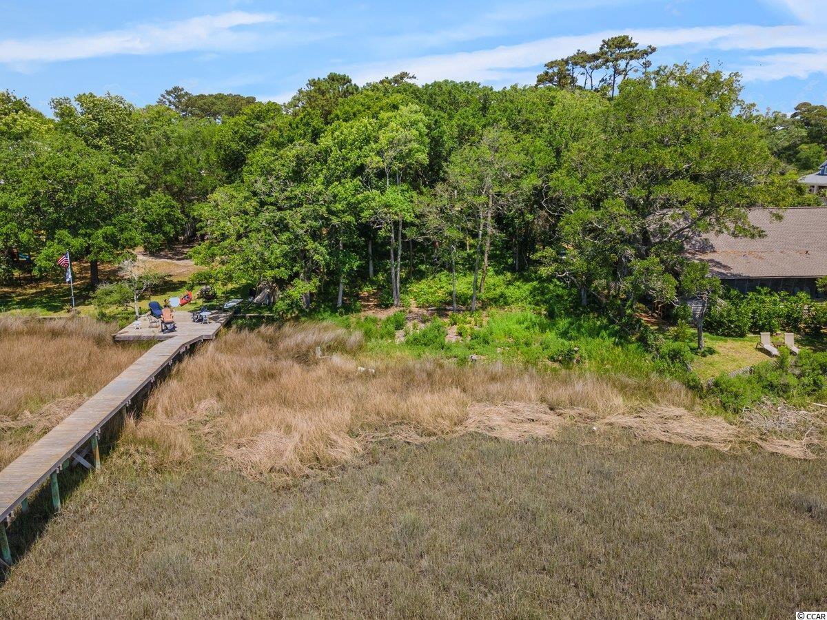 Tbd Elizabeth Drive Murrells Inlet, SC 29576 - Photo 8 of 28 Gallery Image 8