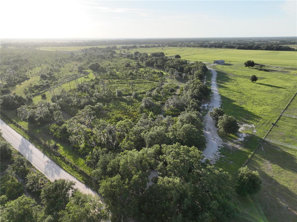 0 Roberts Road Ona, FL 33865 - Photo 7 of 12
