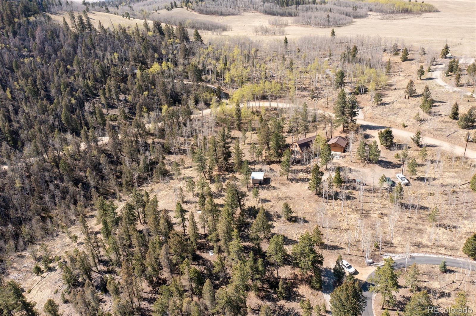 447 Blacksmith Road Hartsel, CO 80449 - Photo 11 of 49