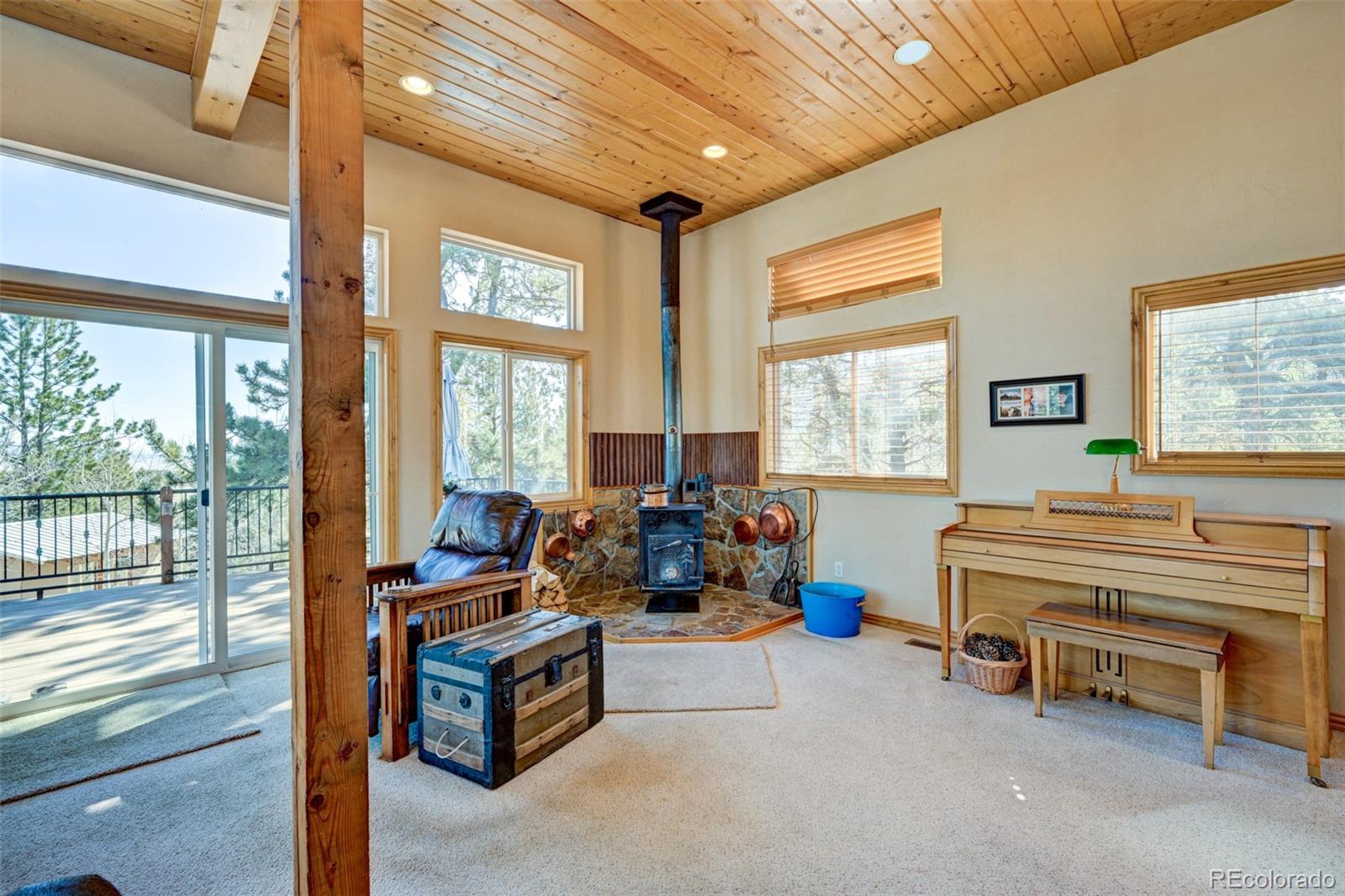 447 Blacksmith Road Hartsel, CO 80449 - Photo 16 of 49