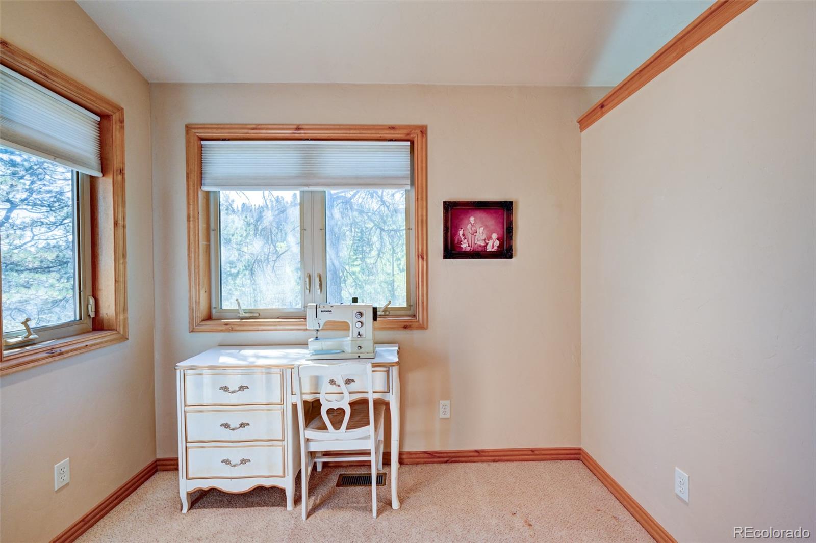 447 Blacksmith Road Hartsel, CO 80449 - Photo 34 of 49