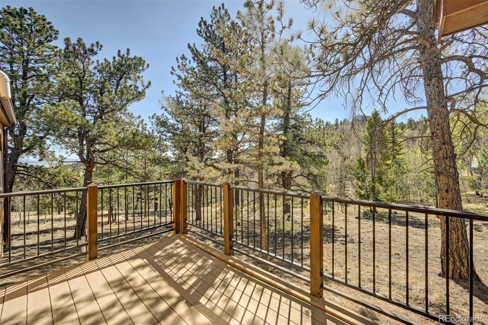447 Blacksmith Road Hartsel, CO 80449 - Photo 35 of 49